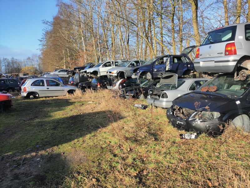 IMG_20220120_142054